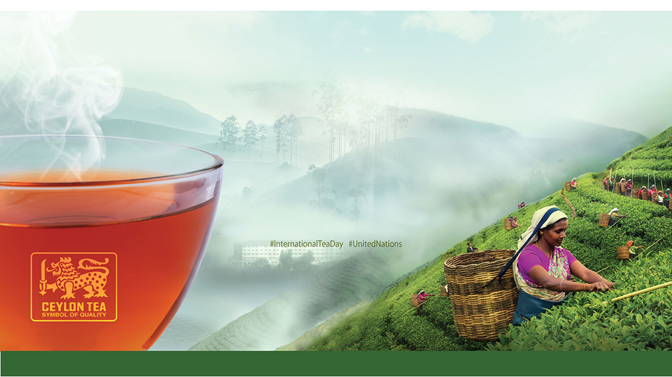 TRIBUTE TO THE GLOBAL TEA FRATERNITY