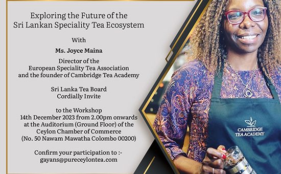 Future of the Sri Lankan Specialty and Handmade Tea Ecosystem