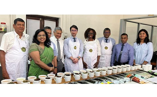 Ms. Joyce Maina (Director of European Specialty Tea Association) attended the Ceylon Speciality Tea Tasting session at the Sri Lanka Tea Board