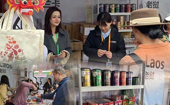 Participation at the Second Beijing International Week of Intangible Cultural Heritage